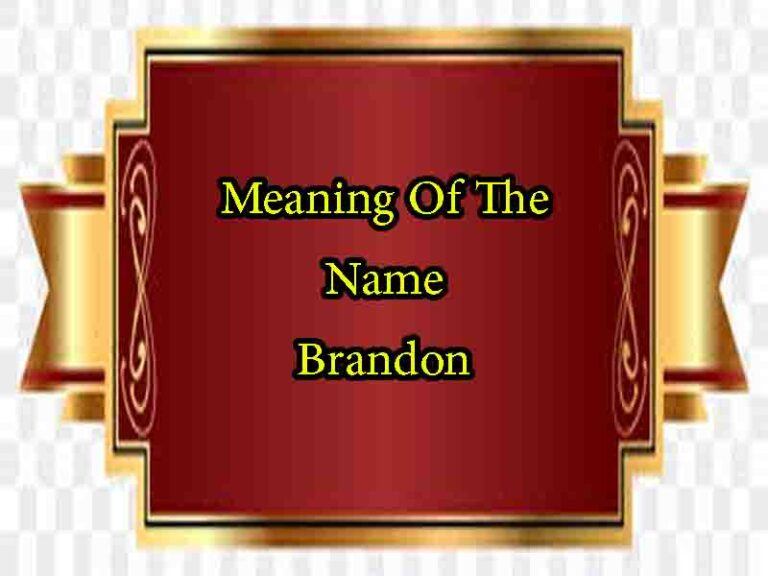 Meaning Of The Name Brandon, Origin, Personality & Numerology
