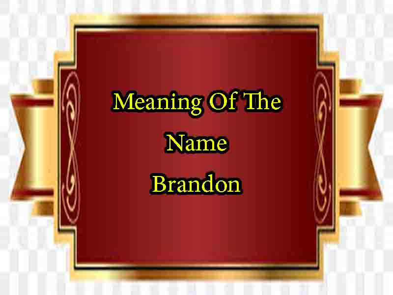 Meaning Of The Name Brandon, Origin, Personality & Numerology